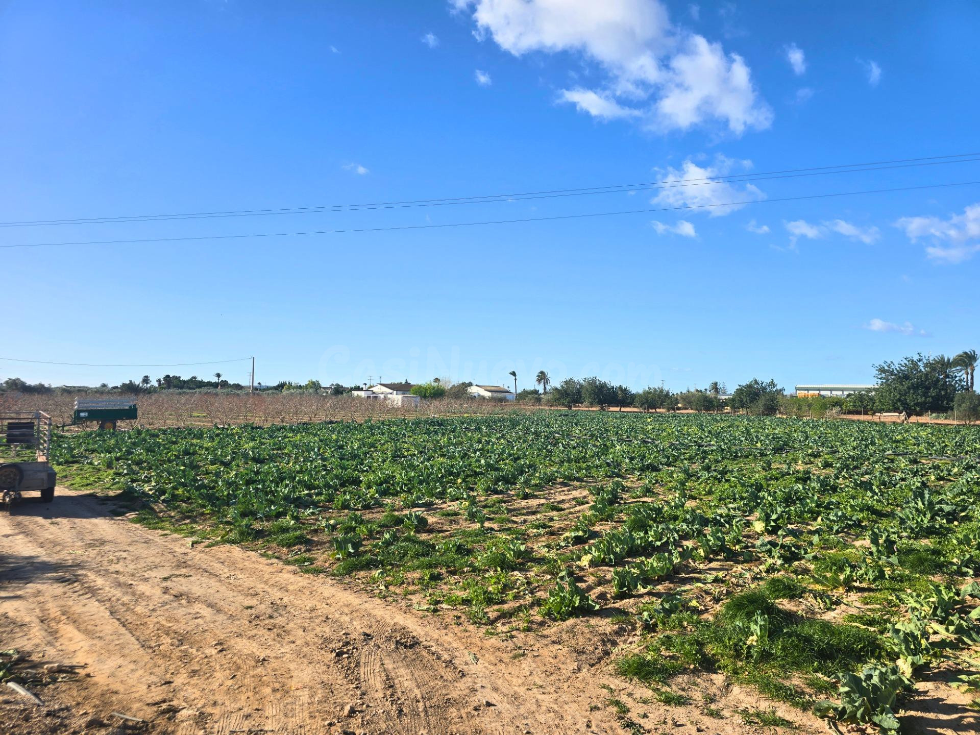 Vive el campo a 4 minutos de Las Bayas: parcela con agua de  - foto 2