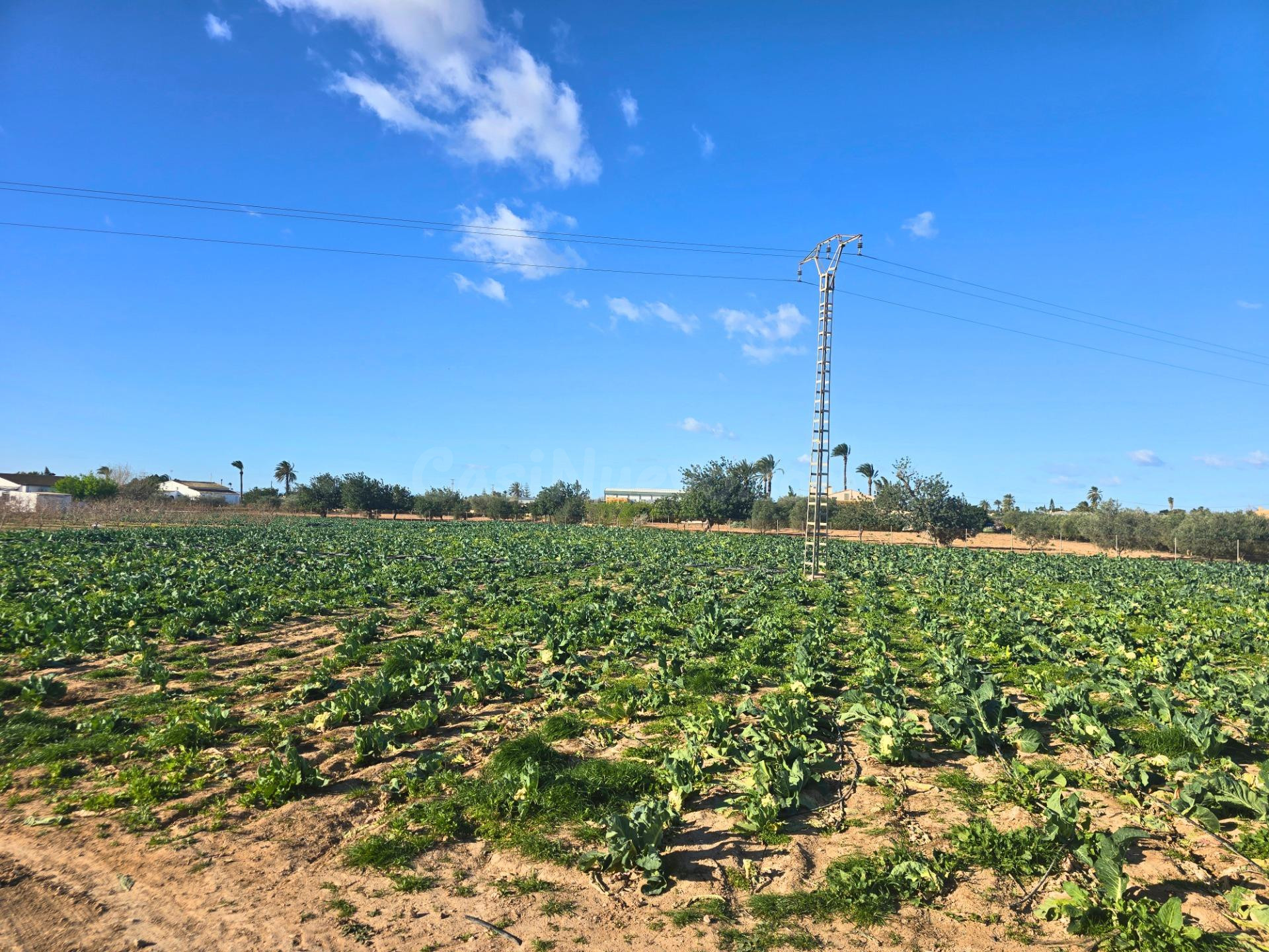 Vive el campo a 4 minutos de Las Bayas: parcela con agua de  - foto 4
