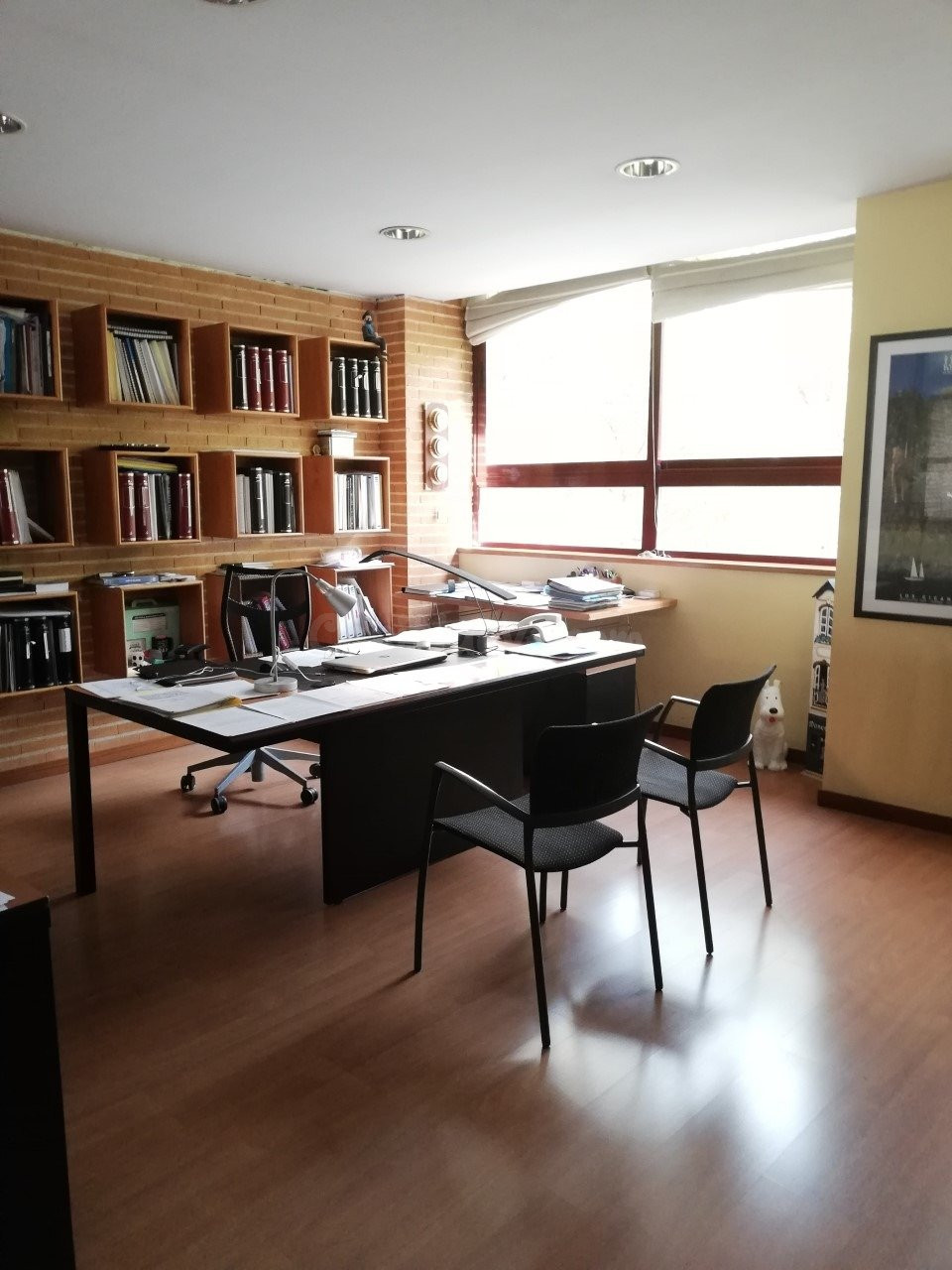 Local comercial 445m² en alquiler - Moncloa - foto 5
