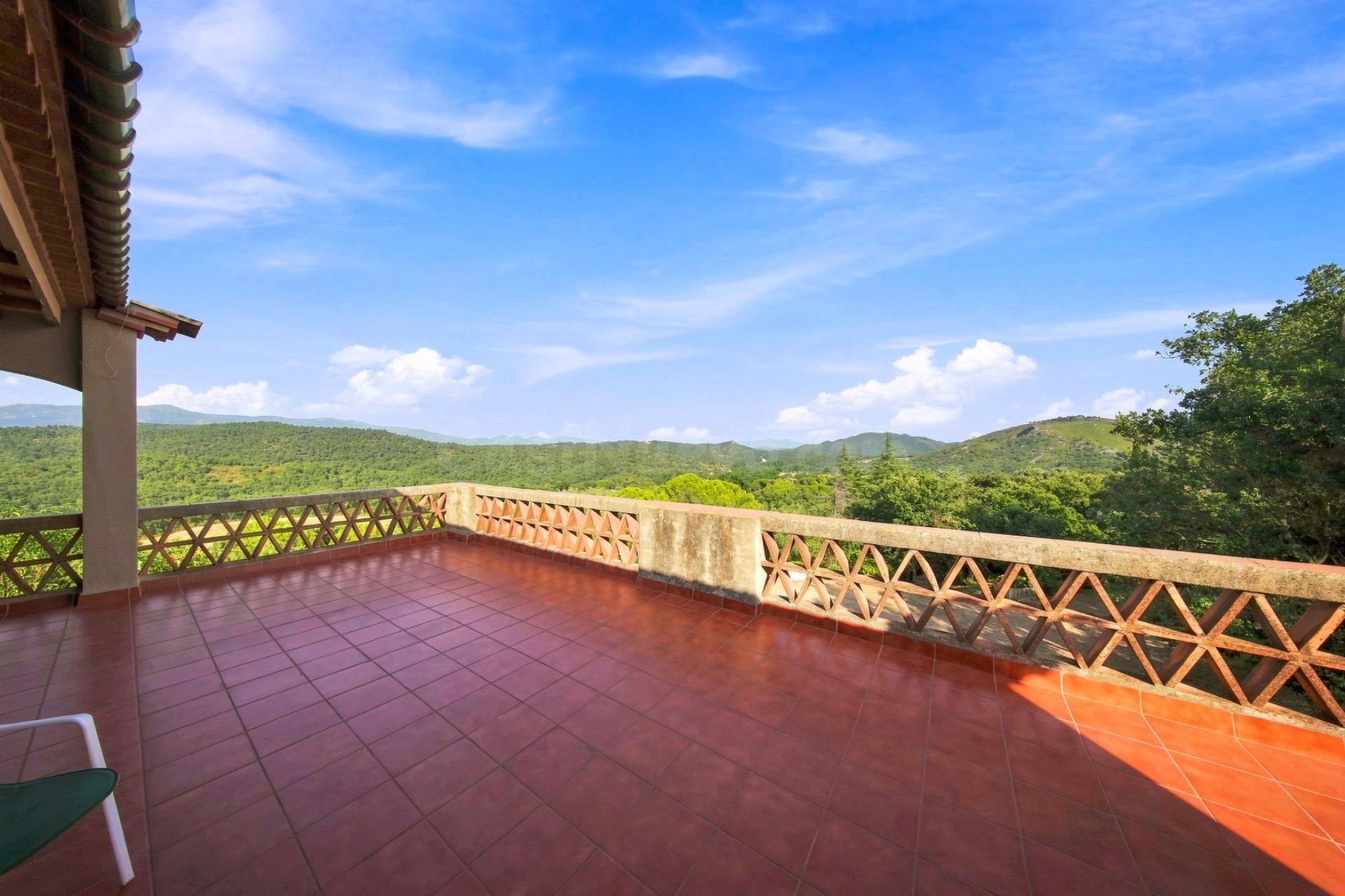 Finca Rustica en venta - foto 4