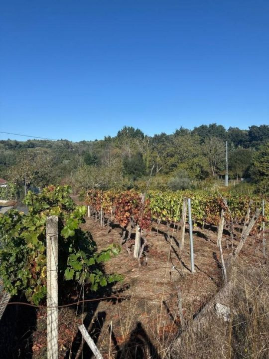 OPORTUNIDAD!!! SE VENDE CASA RURAL EN CENLLE - foto 4