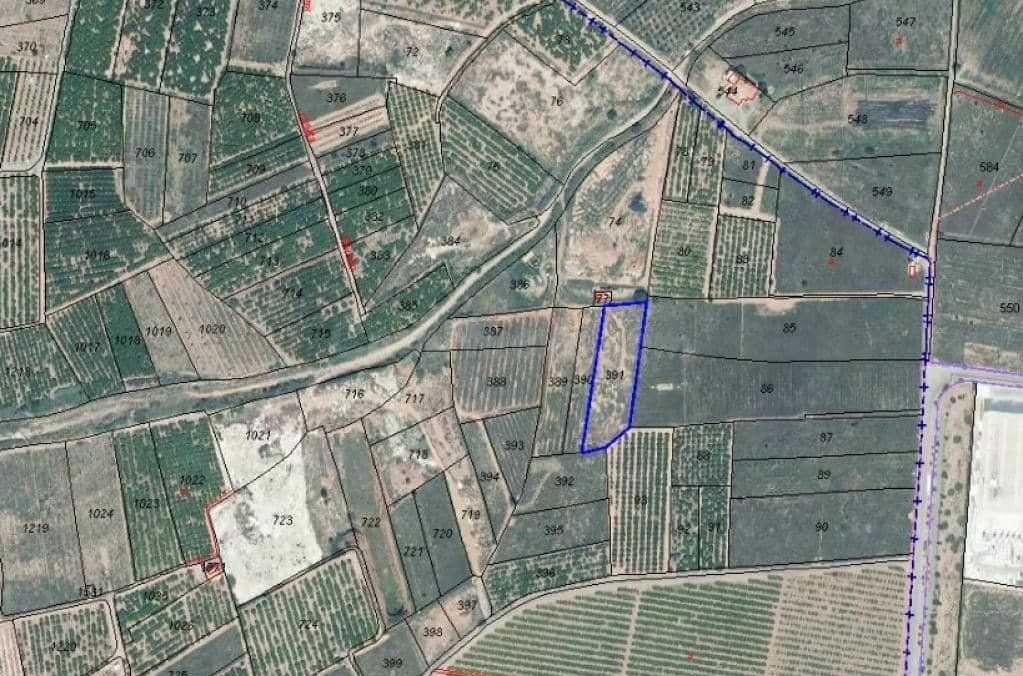 Terreno Rústico 2000m² en venta - Comunidad valenciana - foto 4