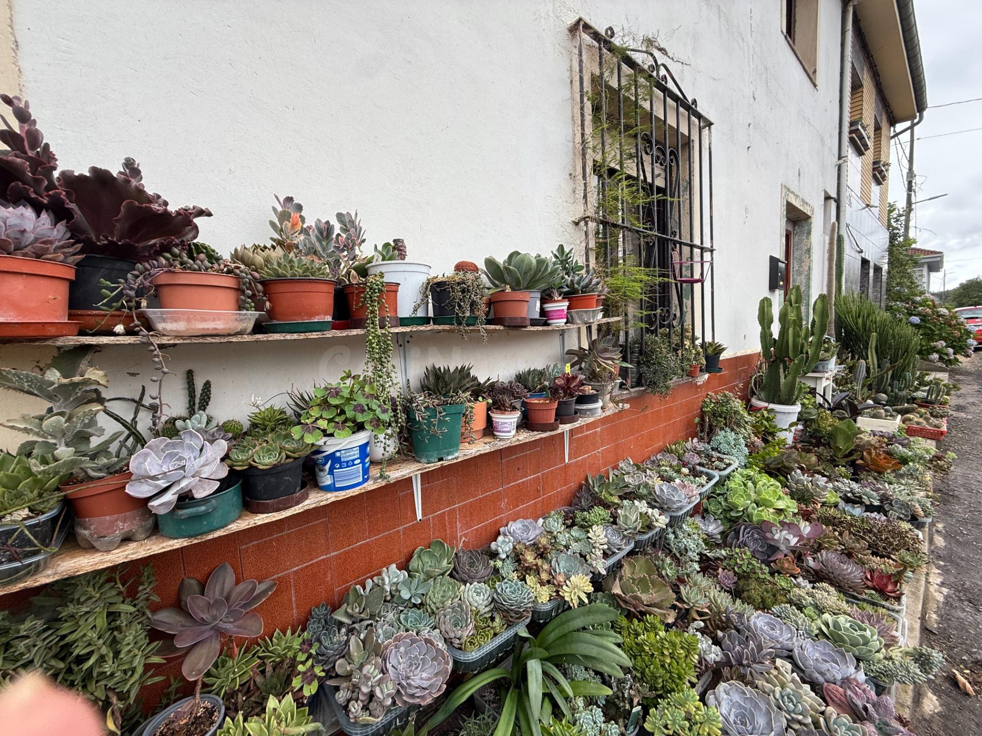 Oportunidad: vivienda  a reformar en el Camino Primitivo (Gr - foto 3