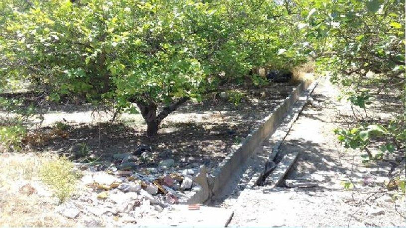Terreno en venta en carril Serranos Beniajan, Murcia - foto 3