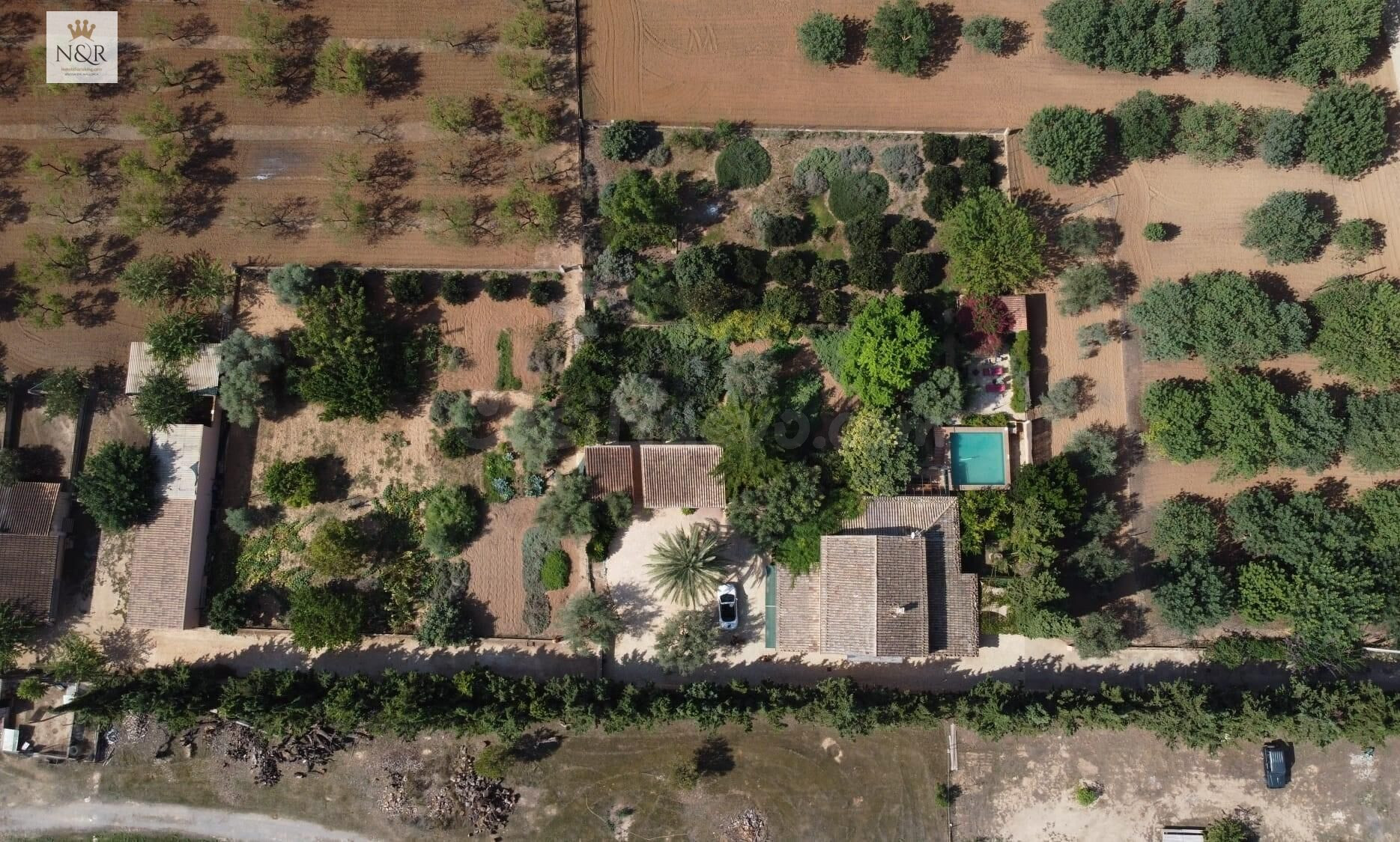 FINCA EN INCA CON CASA DE 200 M2, LUZ Y AGUA - foto 4