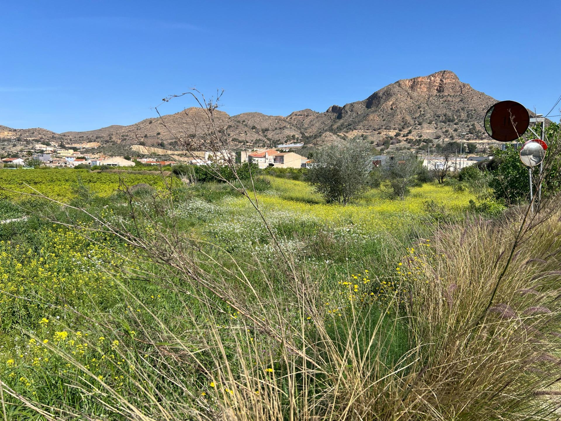 Terreno rural 4 habitaciones en venta - Cobatillas