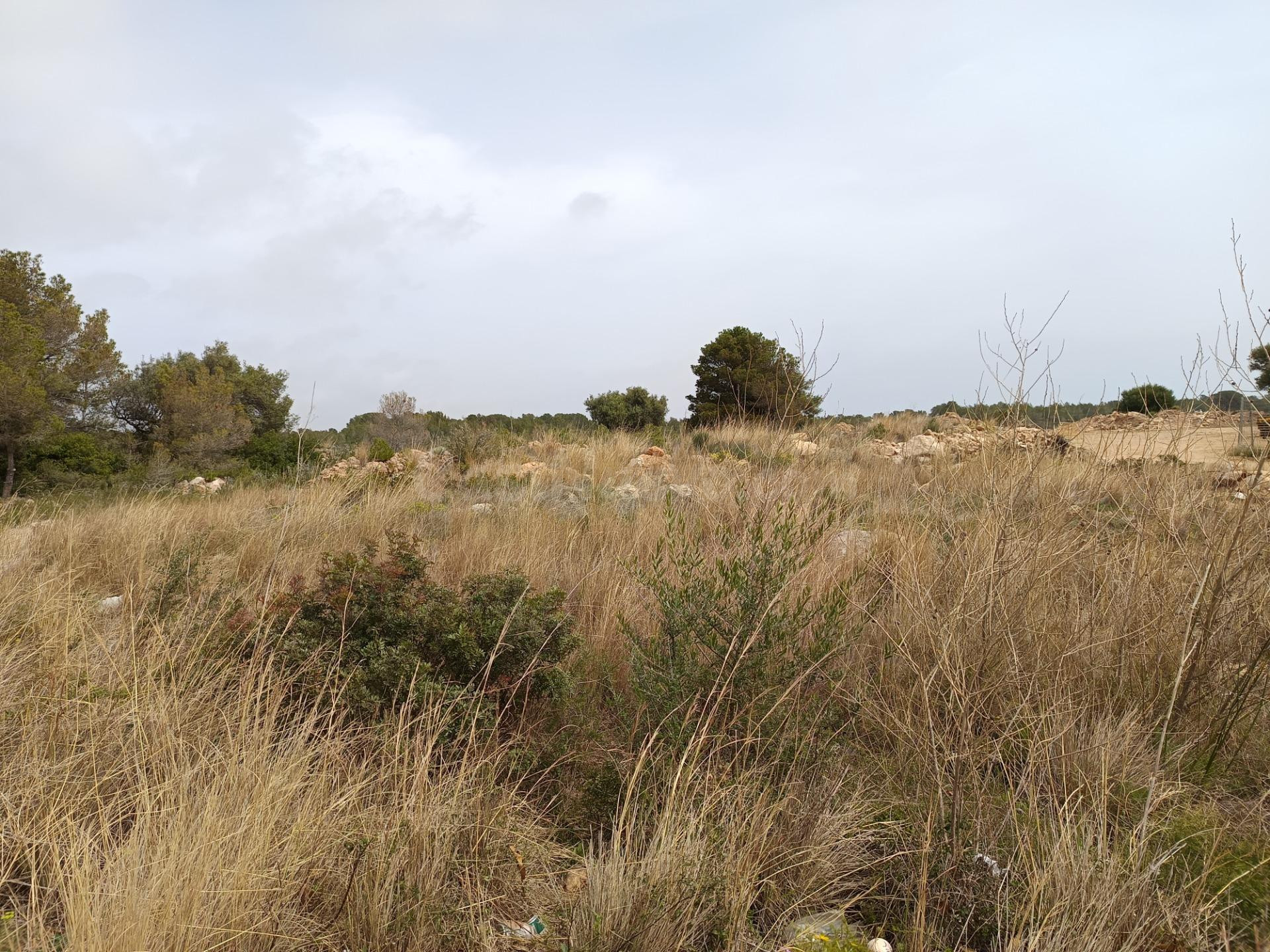 Exclusivas parcelas en venta en Els Corralets, L'Hospitalet  - foto 3