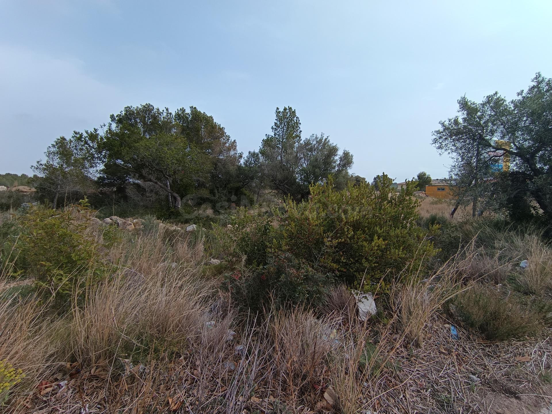 Exclusivas parcelas en venta en Els Corralets, L'Hospitalet  - foto 4