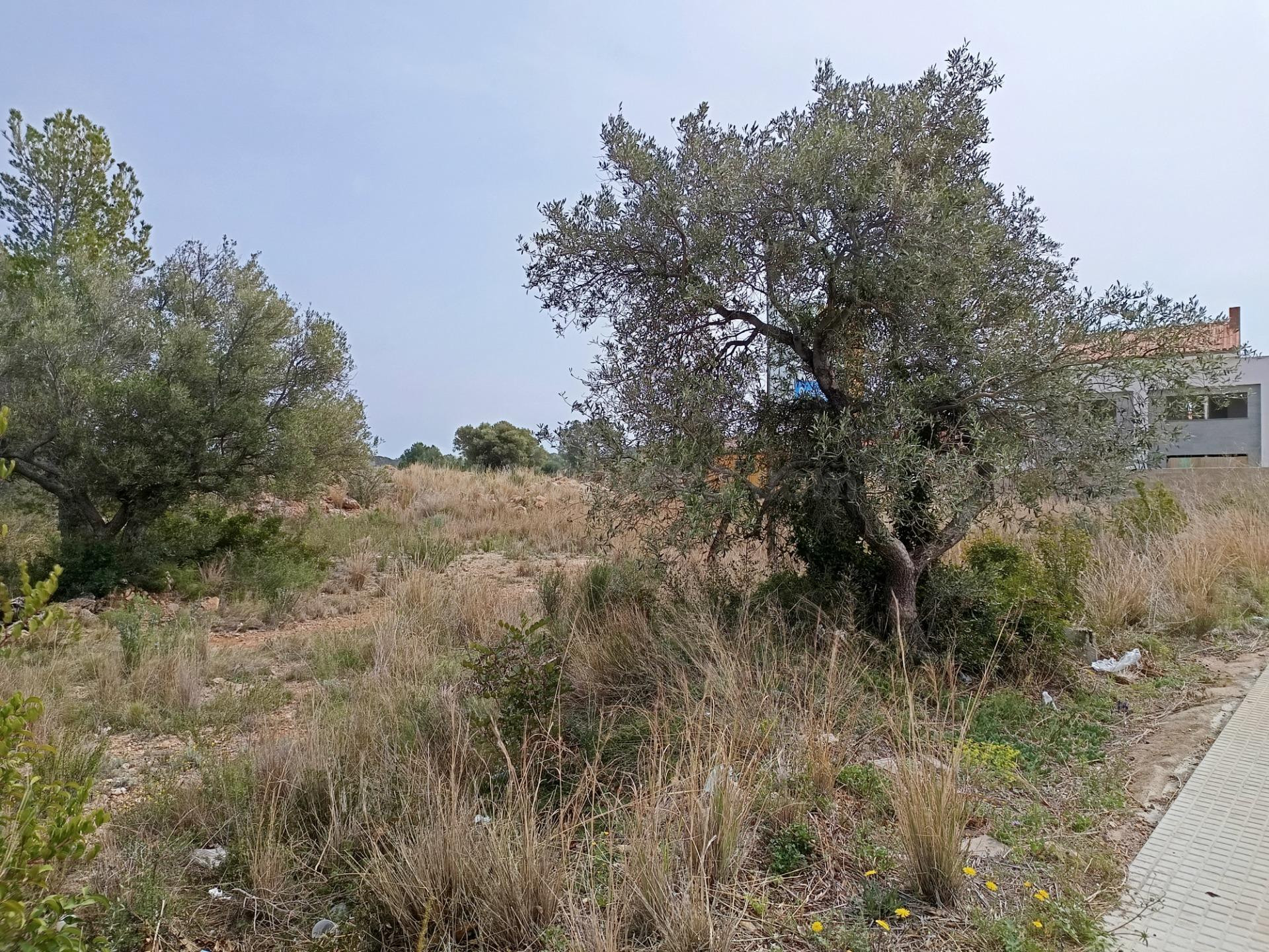 Exclusivas parcelas en venta en Els Corralets, L'Hospitalet  - foto 5