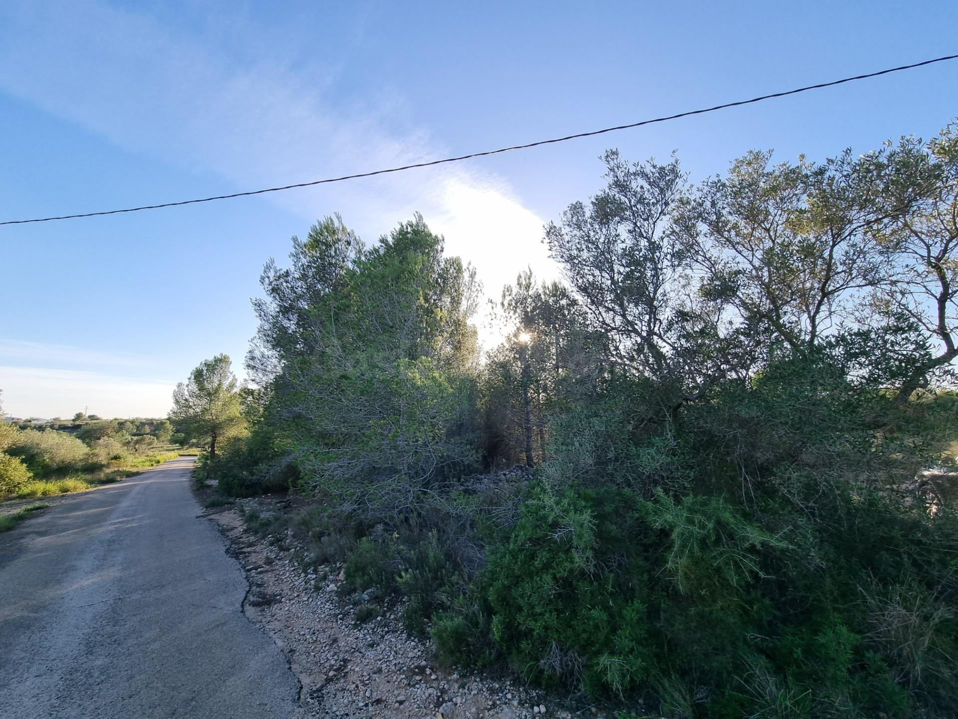 Terreno Rústico de 28.454m2 en Venta en L’Ametlla de Mar - foto 2