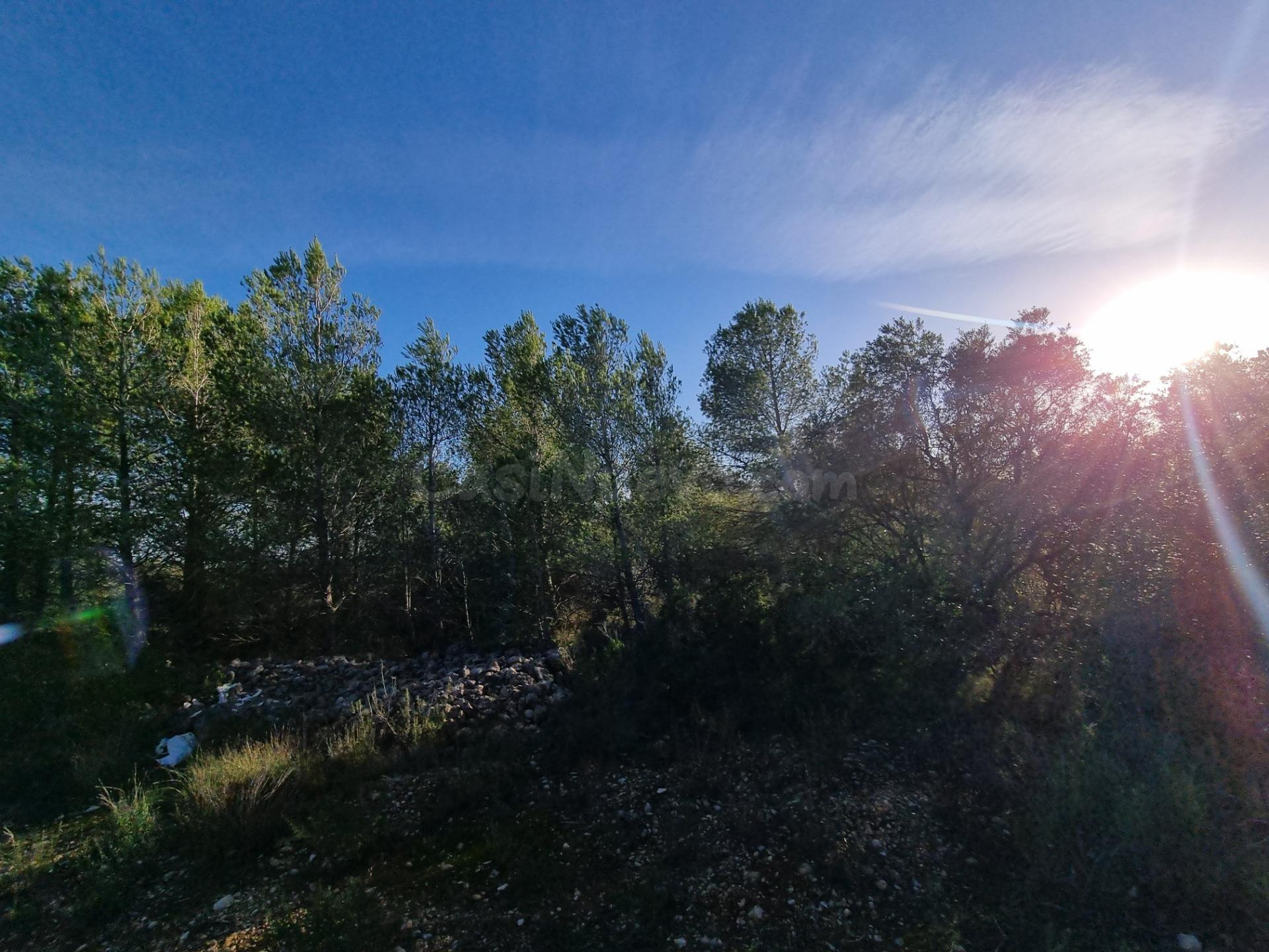 Terreno Rústico de 28.454m2 en Venta en L’Ametlla de Mar - foto 5