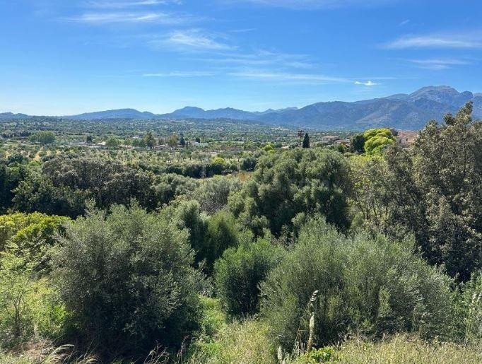 Terreno en venta con unas vistas espectaculares a la Serra d - foto 5