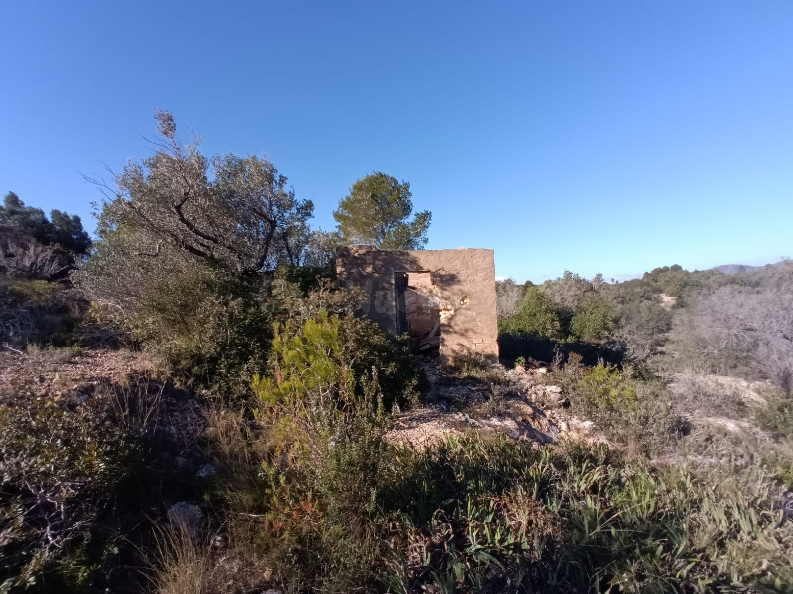 Finca rústica en venta en L’Ametlla de Mar – Gran parcela co