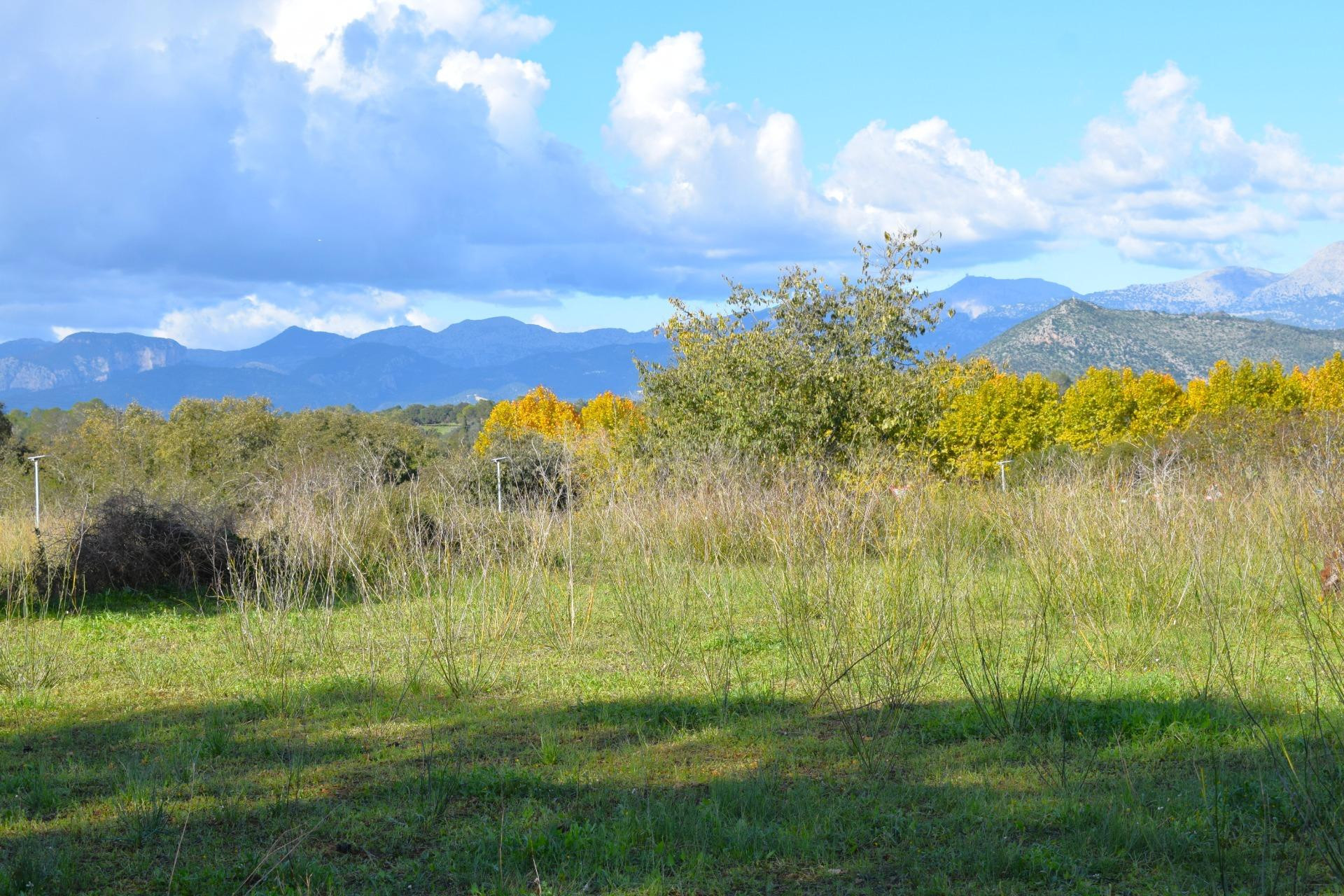 Solares  con hermosas  vistas a la Serra de Tramuntana en Ll