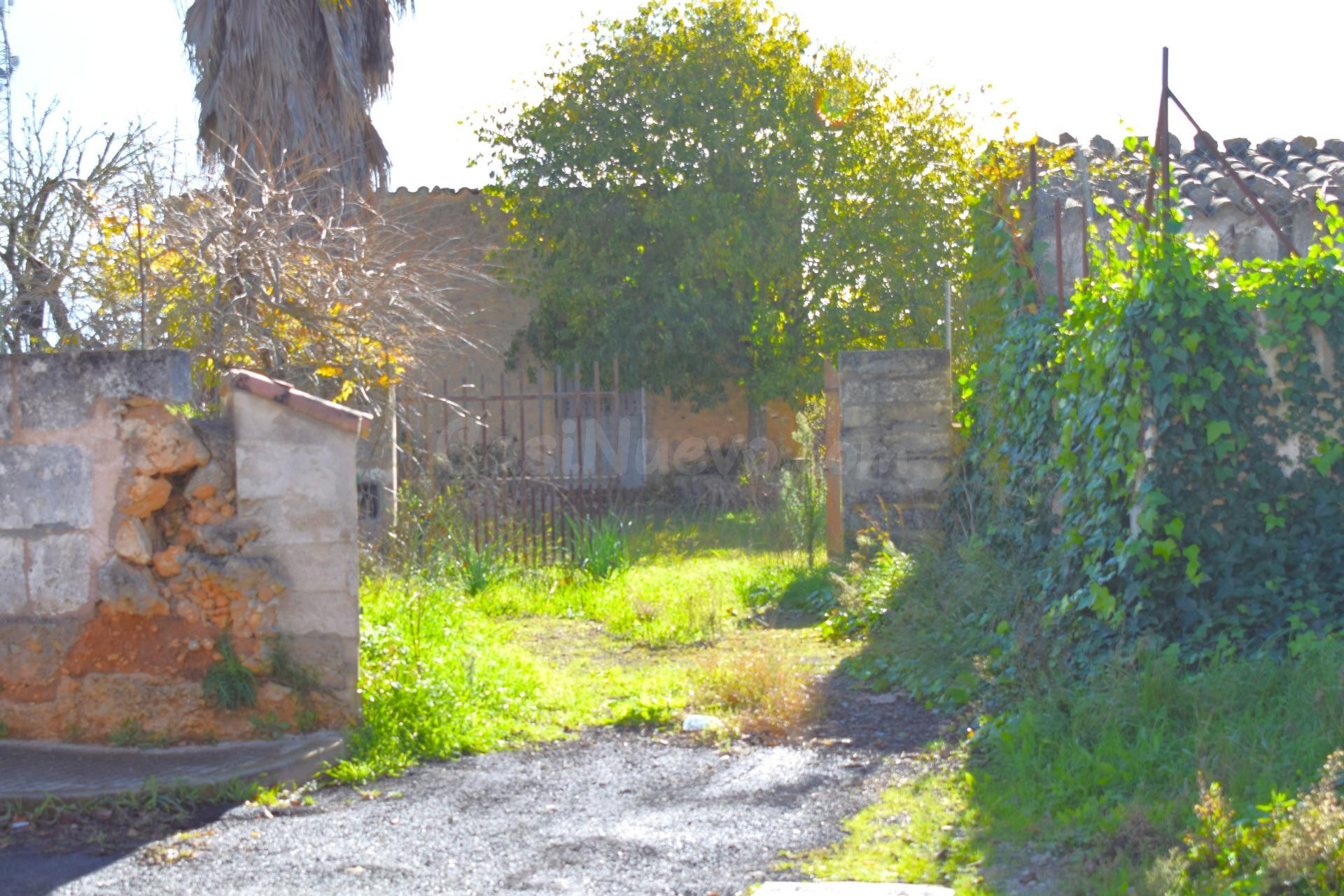Solares  con hermosas  vistas a la Serra de Tramuntana en Ll - foto 4