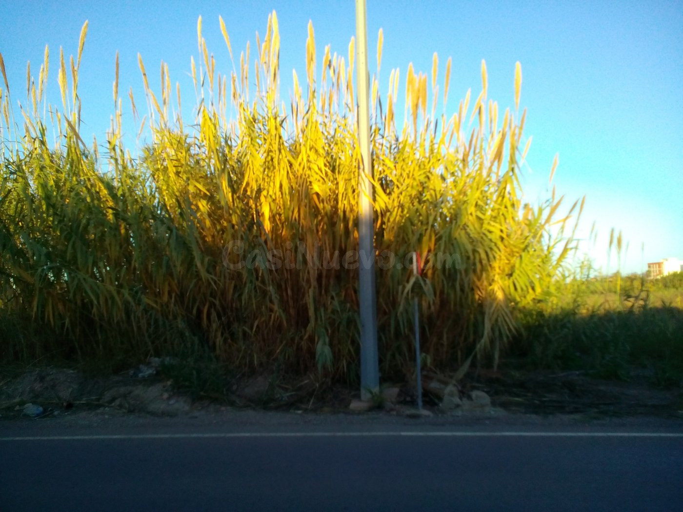 Solar en Venta Serratelles Nules - foto 5