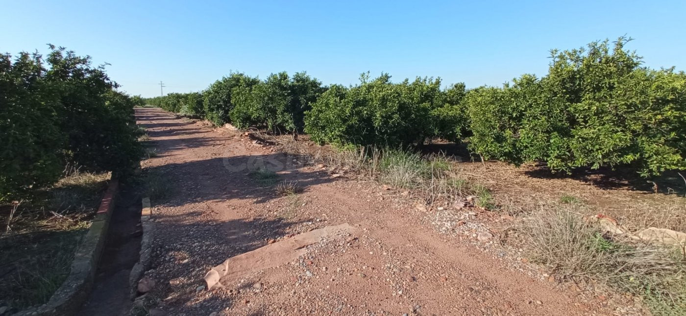 Terreno rural en venta - Nules - foto 3