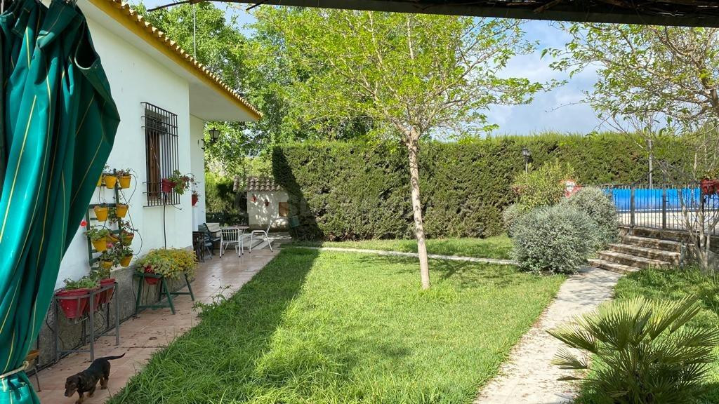 Casa con terreno 5 habitaciones 150m² en venta - Andalucia - foto 5