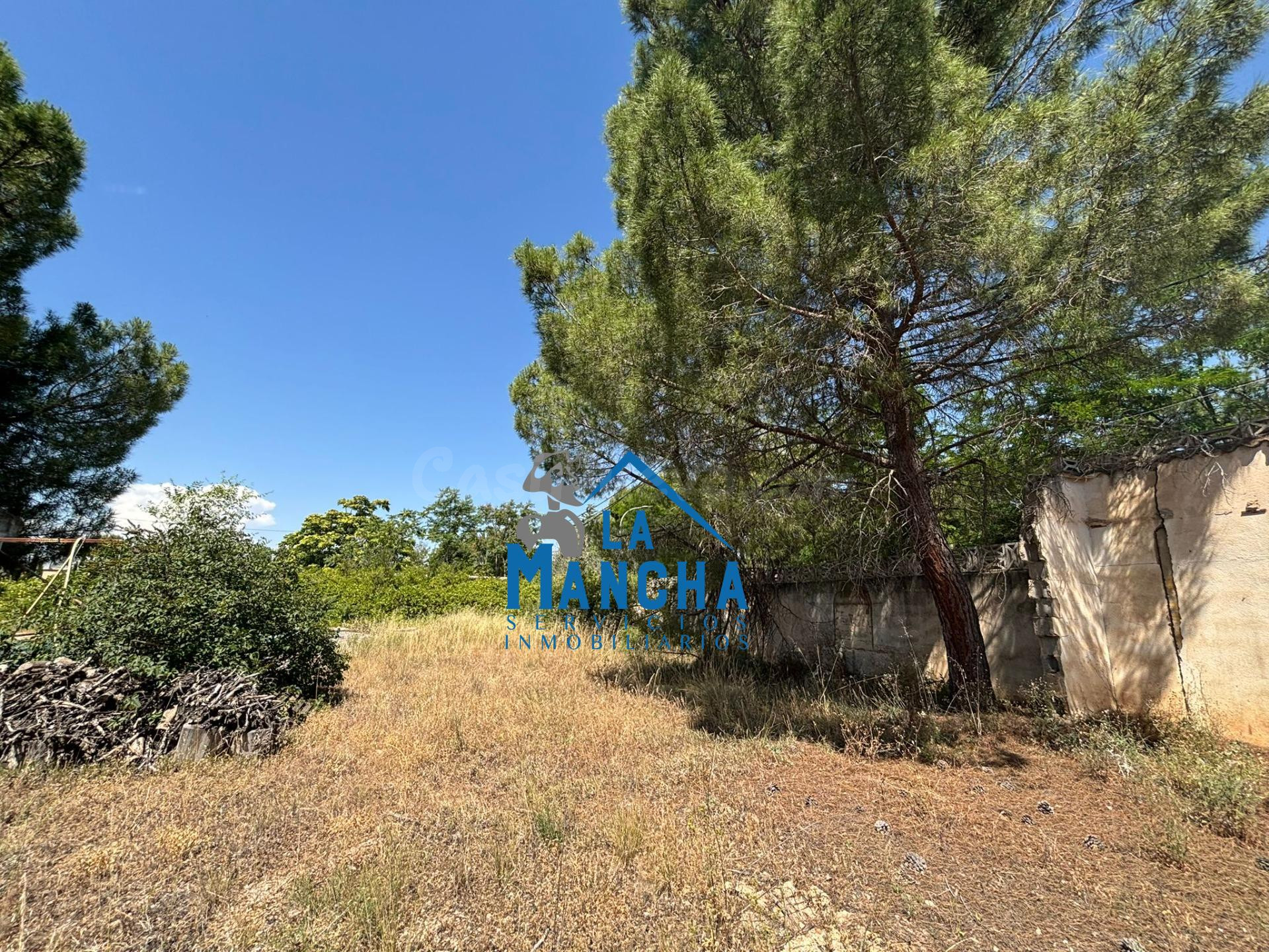 *125.000€* INMOBILIARIA LA MANCHA VENDE PARCELA EN CARRETERA - foto 2
