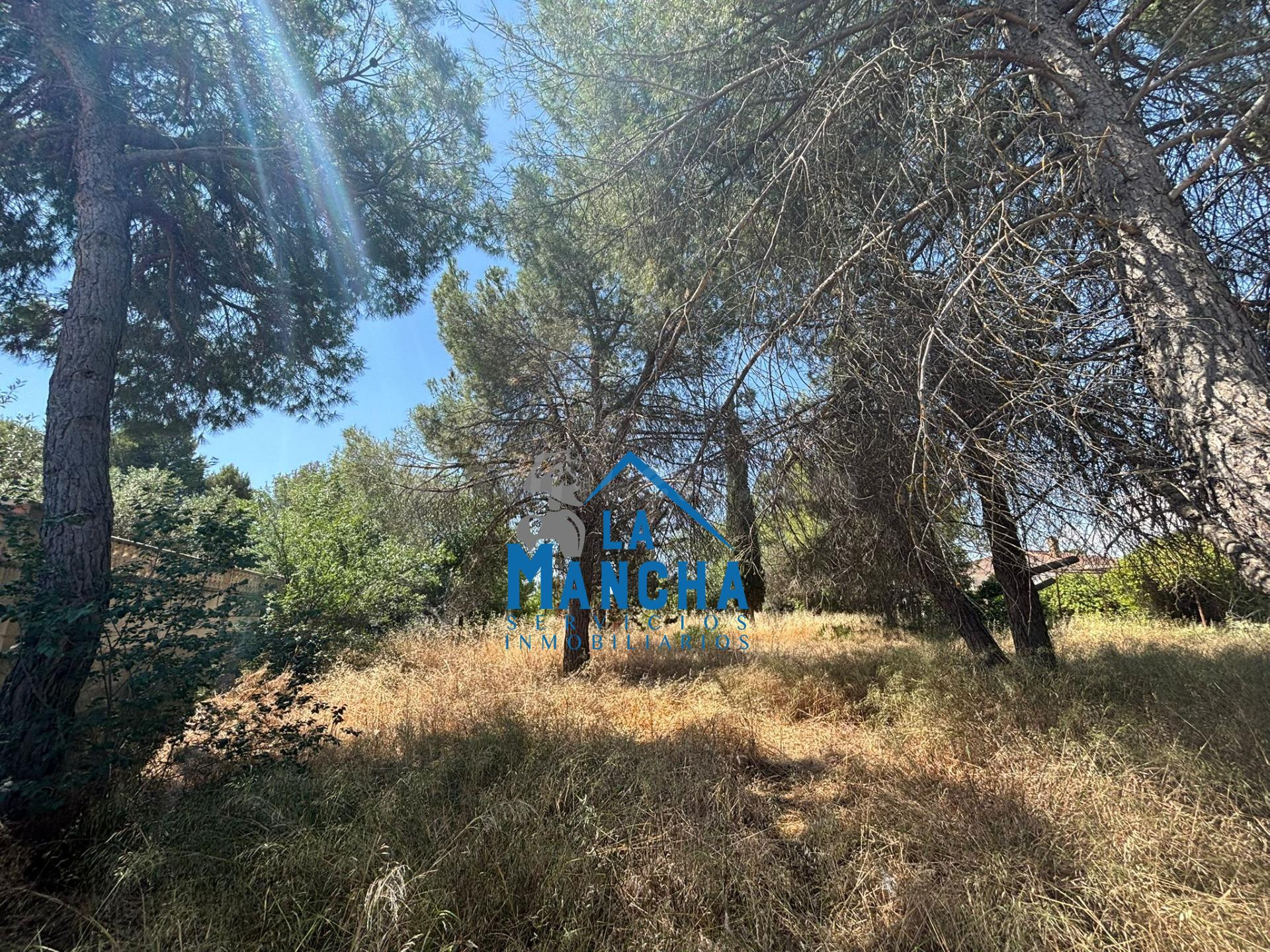 *125.000€* INMOBILIARIA LA MANCHA VENDE PARCELA EN CARRETERA - foto 4