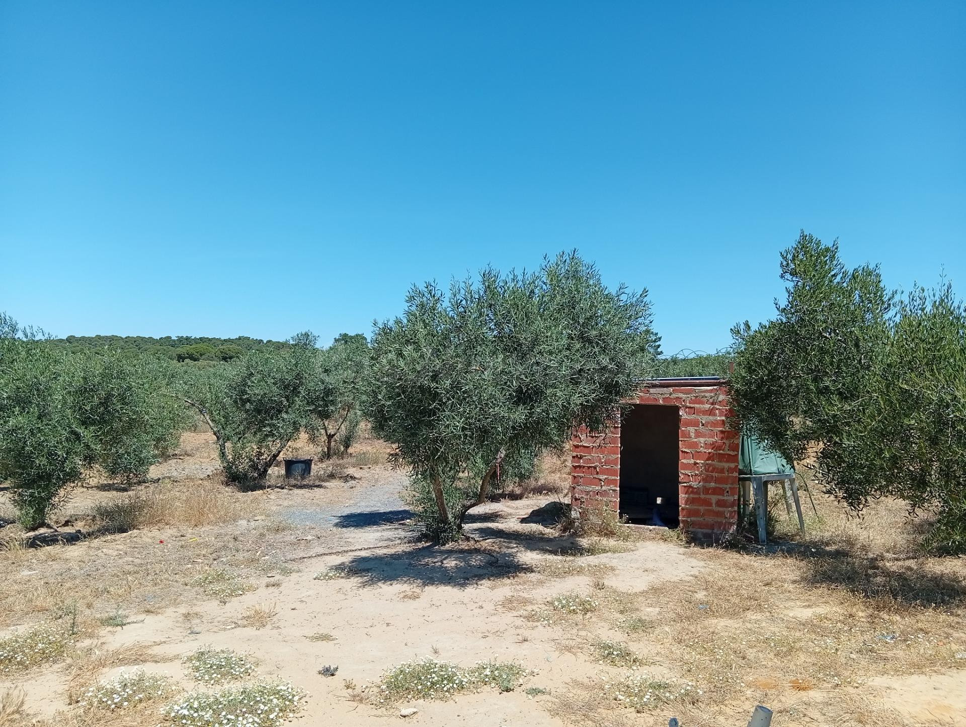 Fantástico terreno en Villablanca, Huelva - foto 4