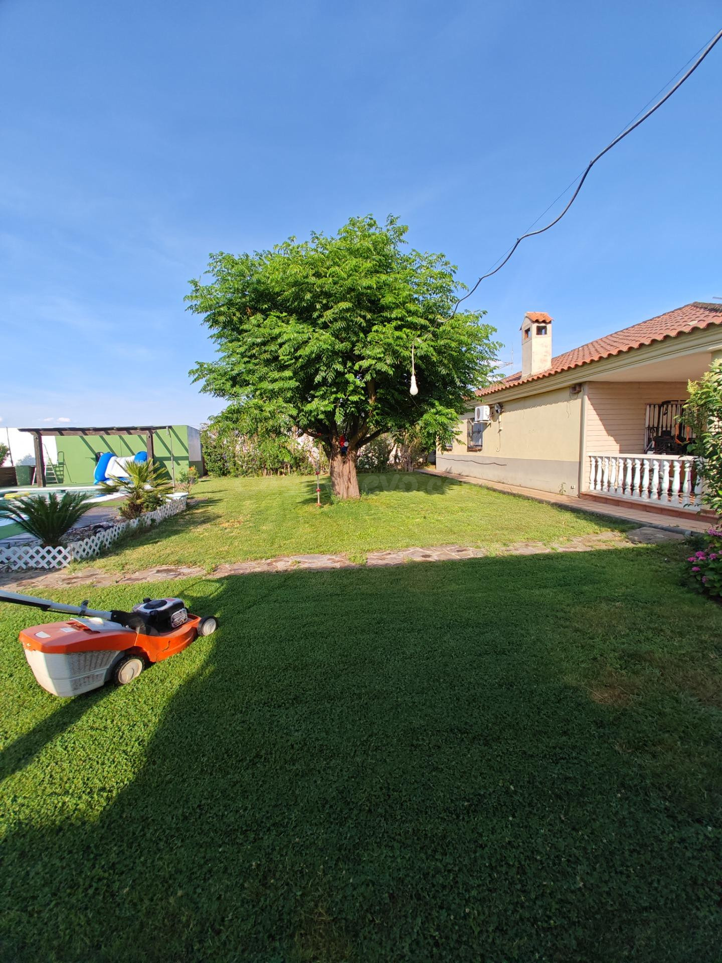 DOS VIVIENDAS, PISCINA, JARDIN Y HUERTO A MINUTOS DE D. BENITO O VILLANUEVA