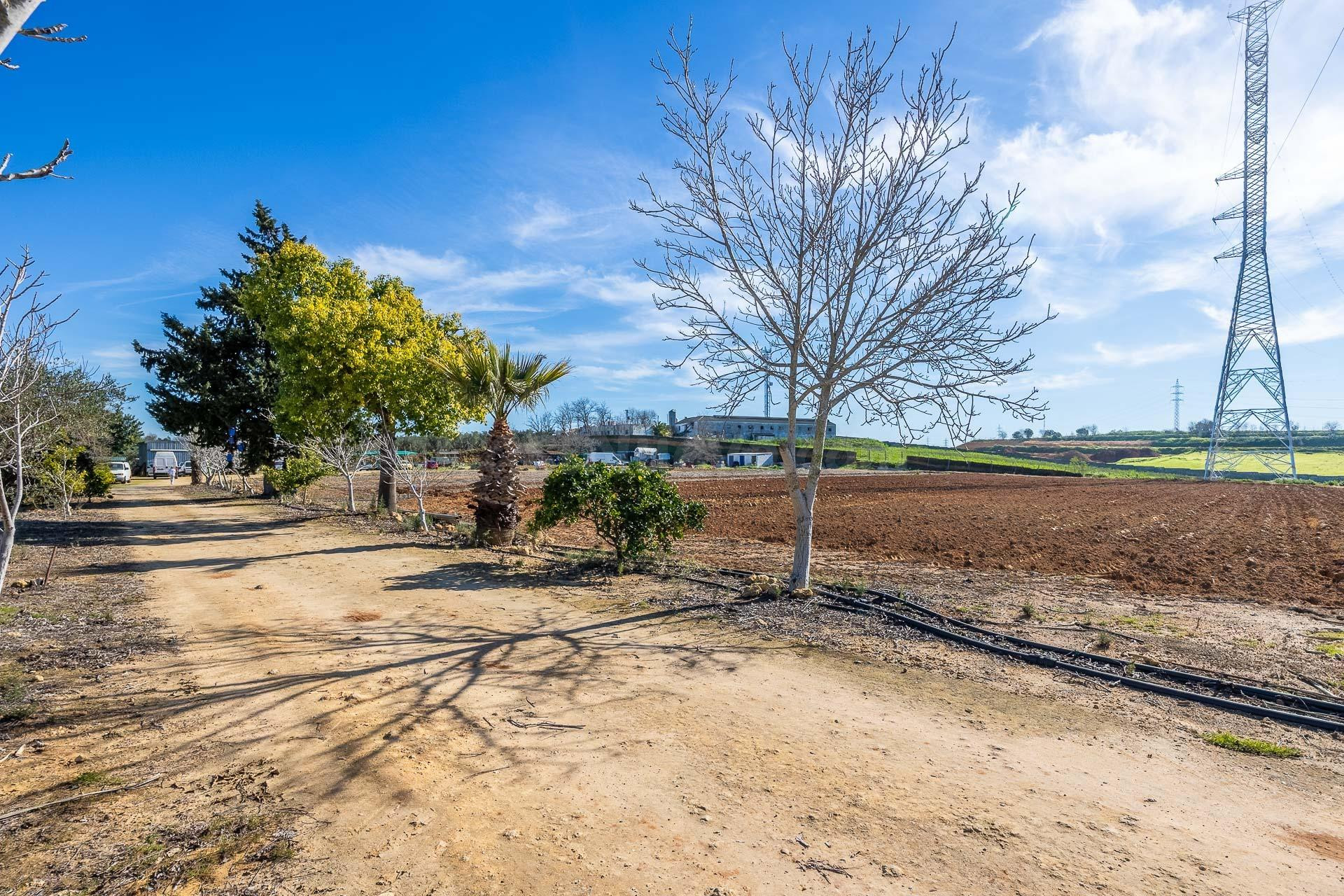 La parcela con vivienda, zona de ocio y proyectos que estaba - foto 3