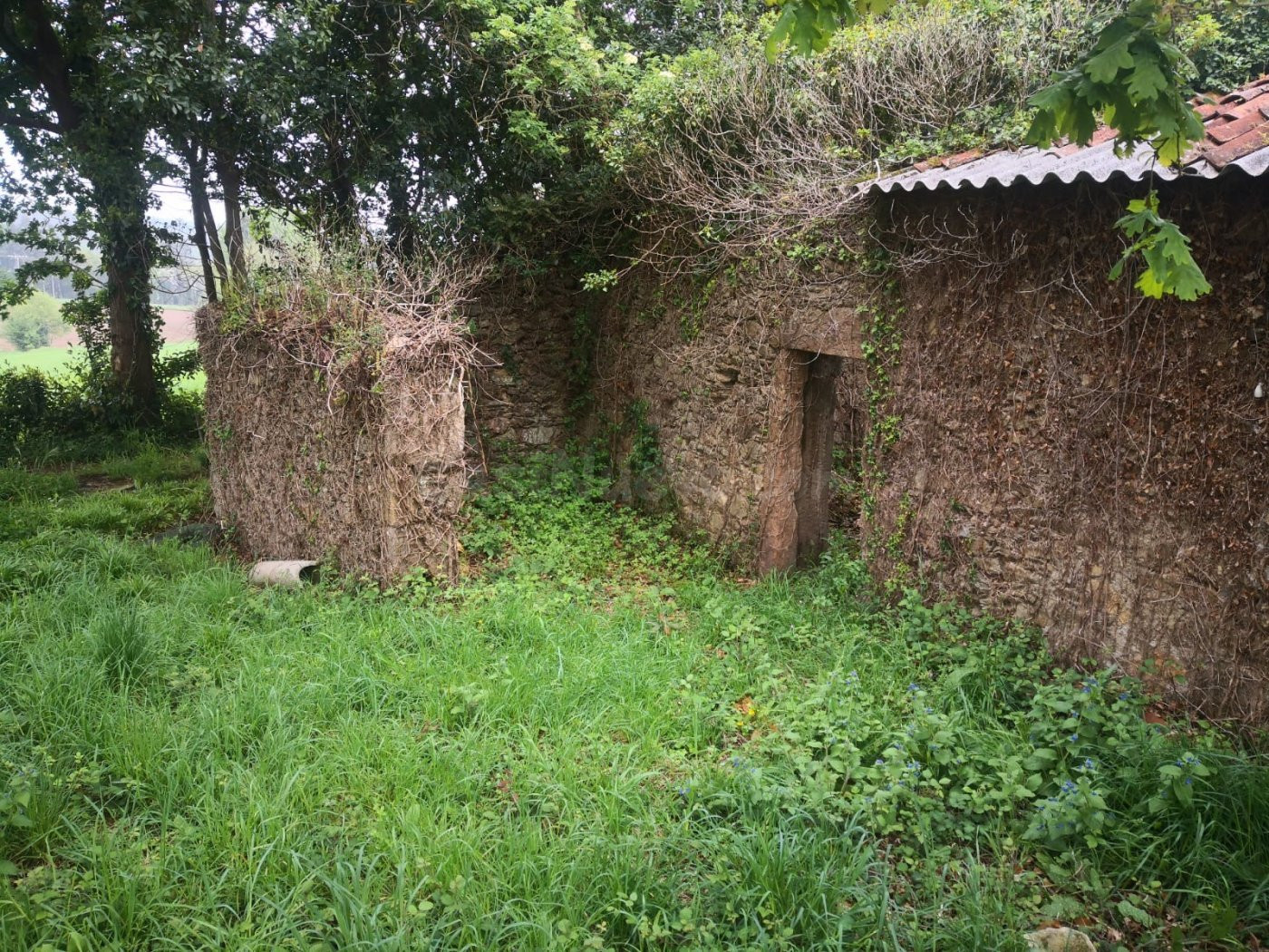 Terreno edificable en Quintela, Sofán