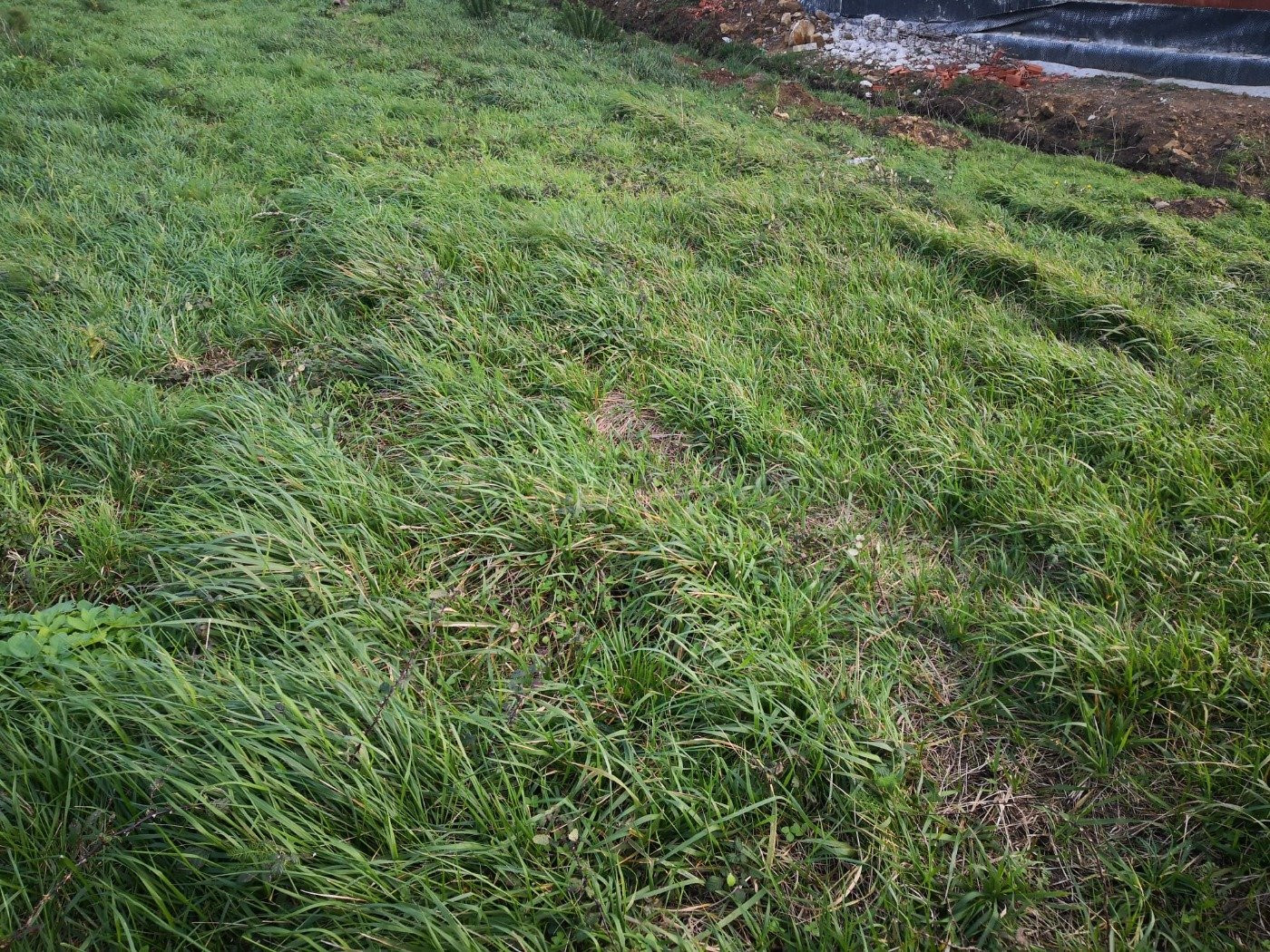 Terreno Urbano en Seaia - Malpica - foto 4