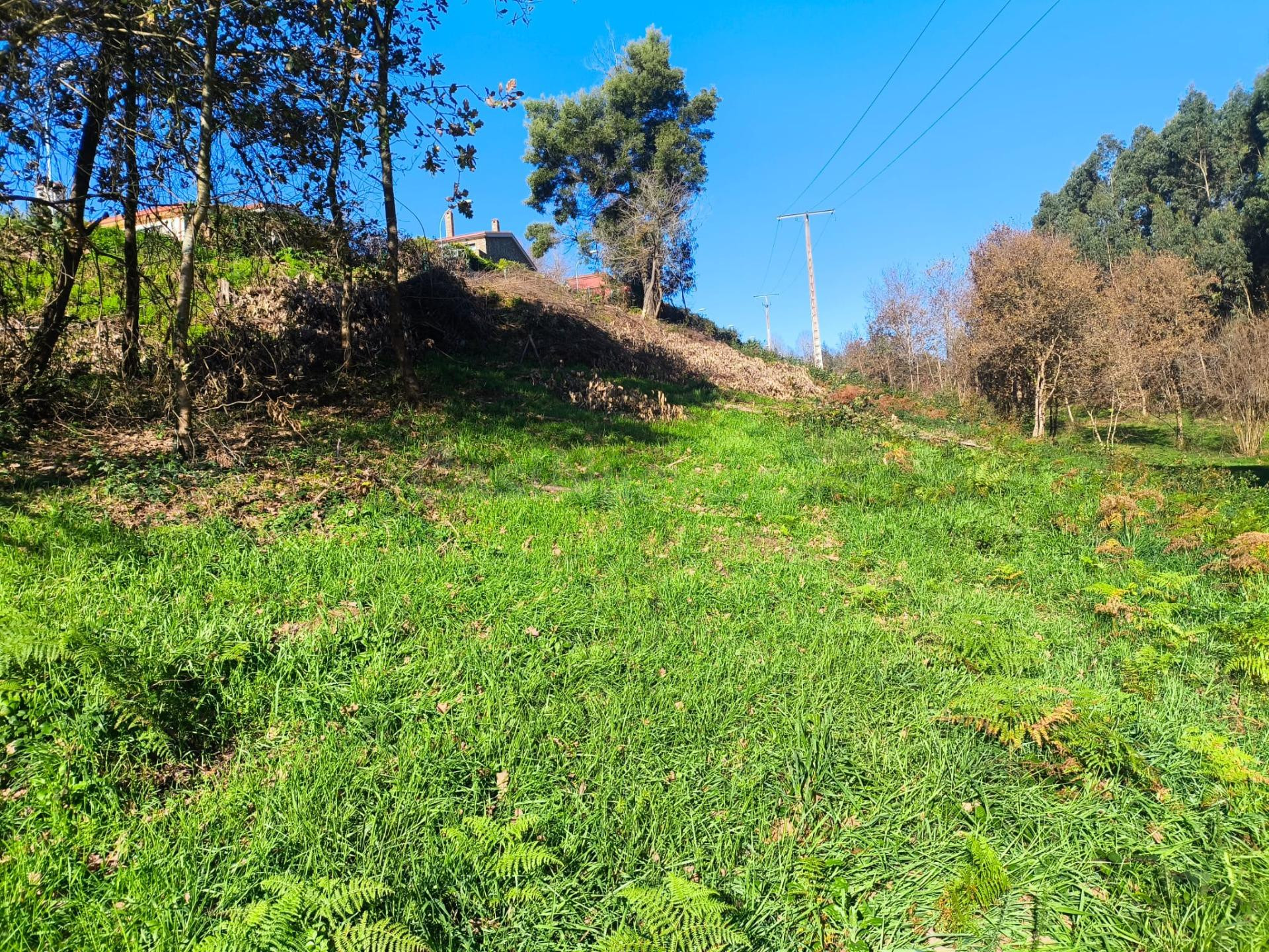Terreno no urbano en Outeiro, Cela de Cambre