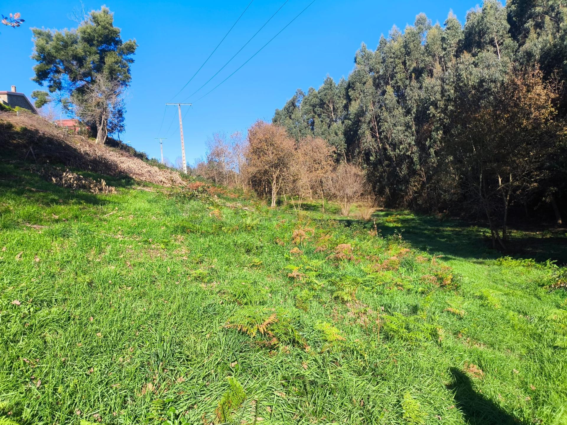 Terreno no urbano en Outeiro, Cela de Cambre - foto 2