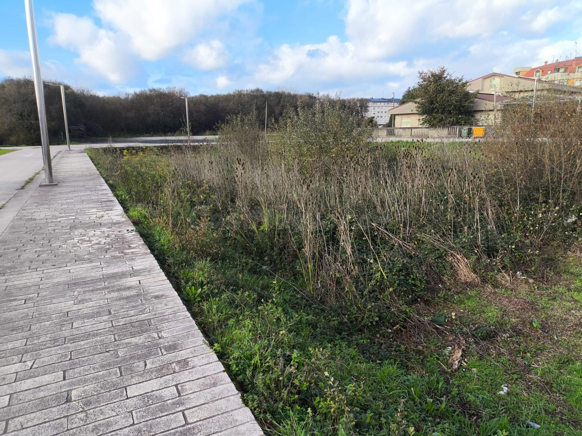 Oportunidad de Inversión en Carballo: Solares Contiguos para - foto 4