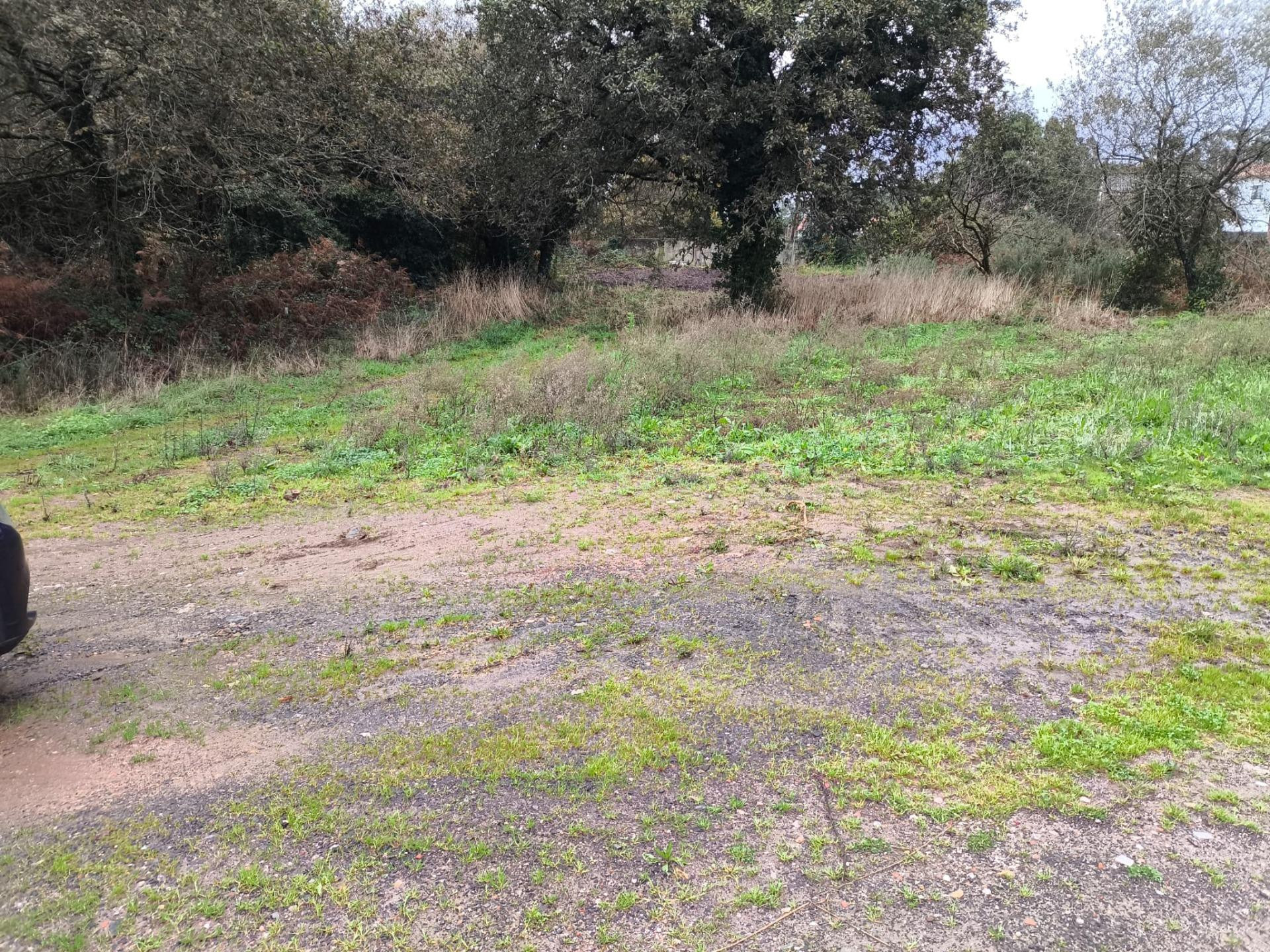 Se venden 2 fincas urbanas una enfrente a la otra en Cabovil - foto 4