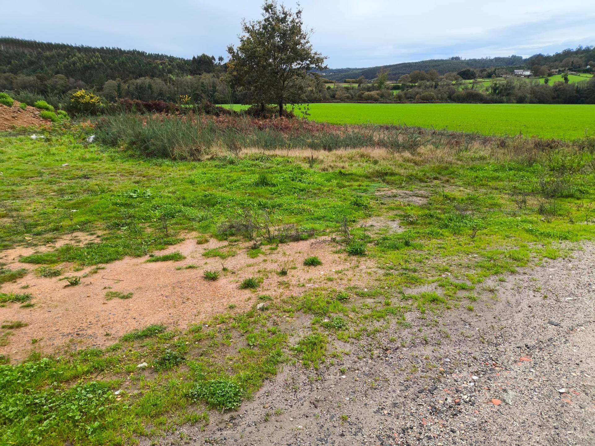 Se venden 2 fincas urbanas una enfrente a la otra en Cabovil - foto 5