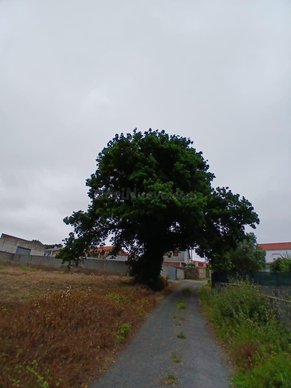 Solar urbano en Berdillo, Lugar Aseñado, Carballo - foto 3