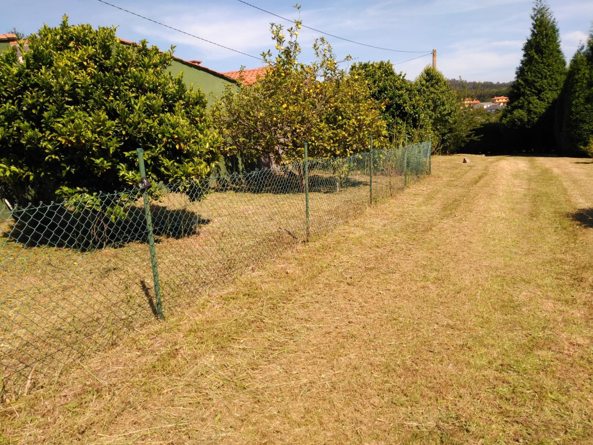 Finca en Oleiros de 3200 metros cuadrados - foto 3