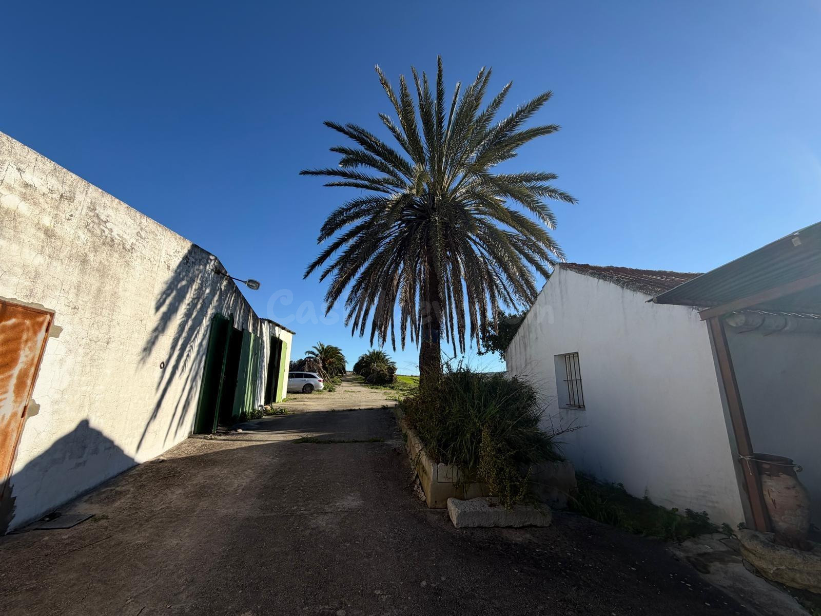 CORTIJO CON 63MIL METROS DE PARCELA, APARTAMENTOS, NAVES Y B - foto 3