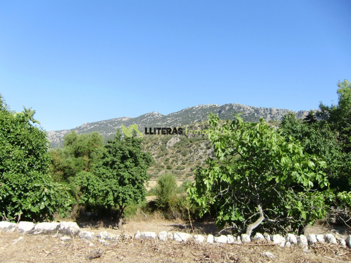 Fantástica finca para restaurar con vistas increíbles