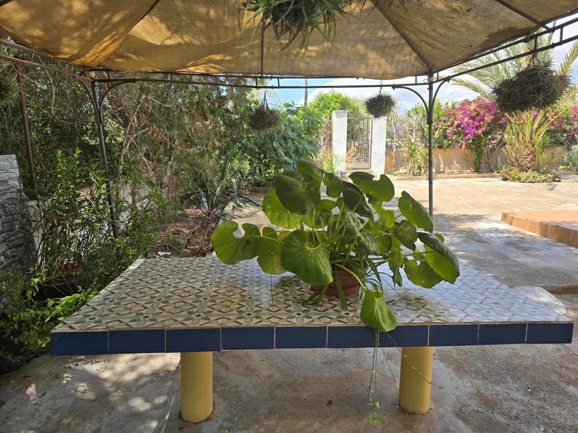 ¿Amor a primera vista? No. Esto es amor al primer "¡imagínate las barbacoas que haremos aquí!". ☀️