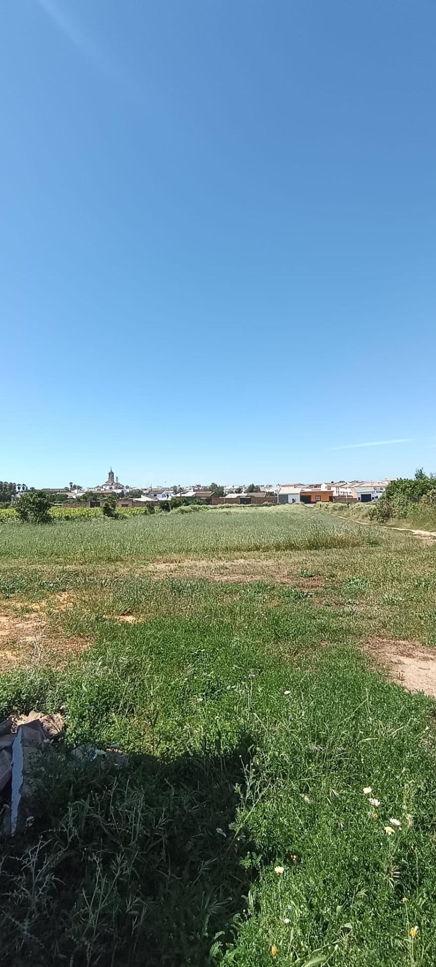 Terreno urbano de 3 hectáreas en Villamanrique de la Condesa - foto 4