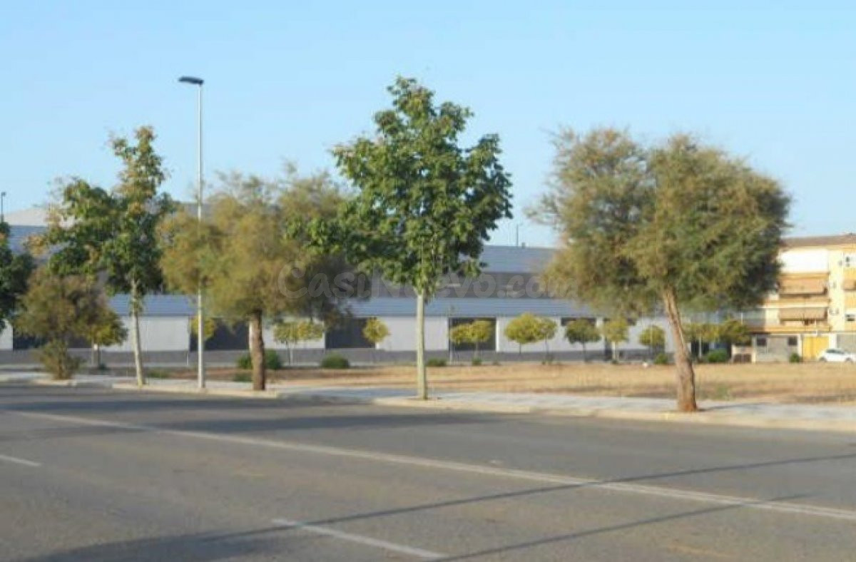 Se venden dos parcelas de 18553 m2 en Andújar - foto 4