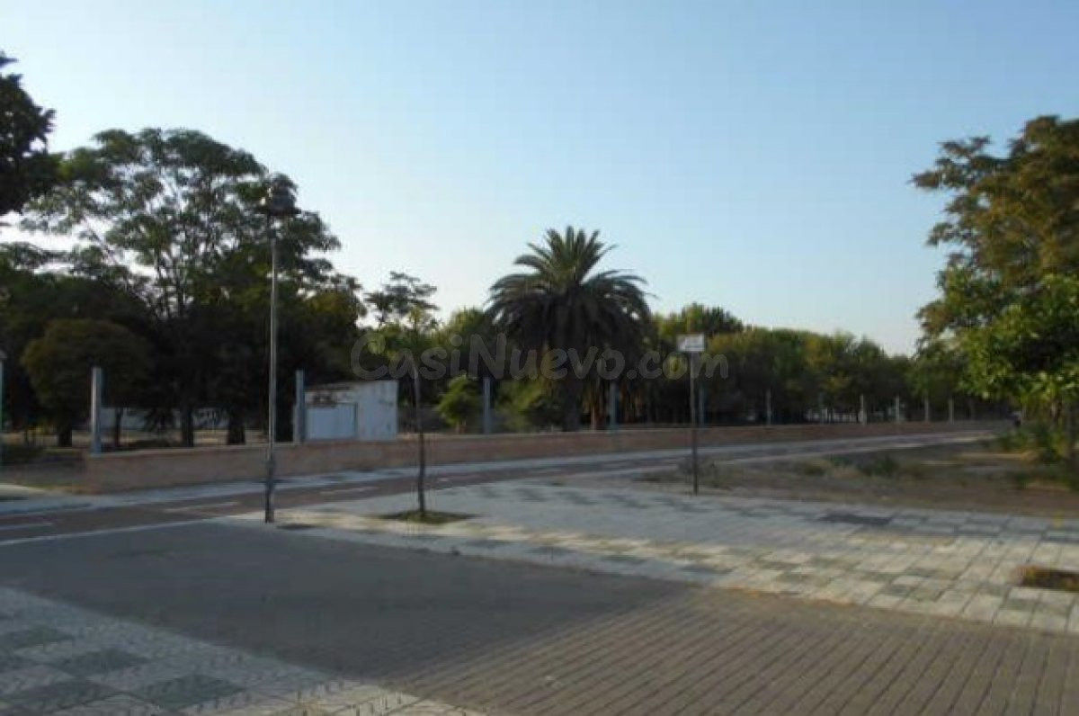 Se venden dos parcelas de 18553 m2 en Andújar - foto 5