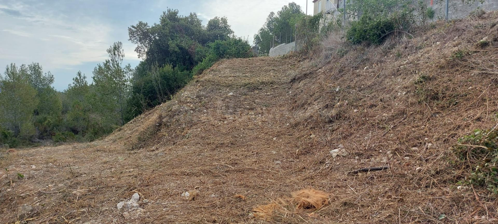 PARCELA EN VENTA EN CASTELLET I LA GORNAL .URBANIZACIÓN LOS  - foto 3