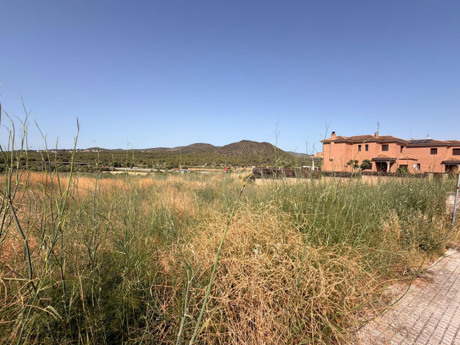 PARCELA EN VENTA EN LAS PEDRERES SANTA OLIVA