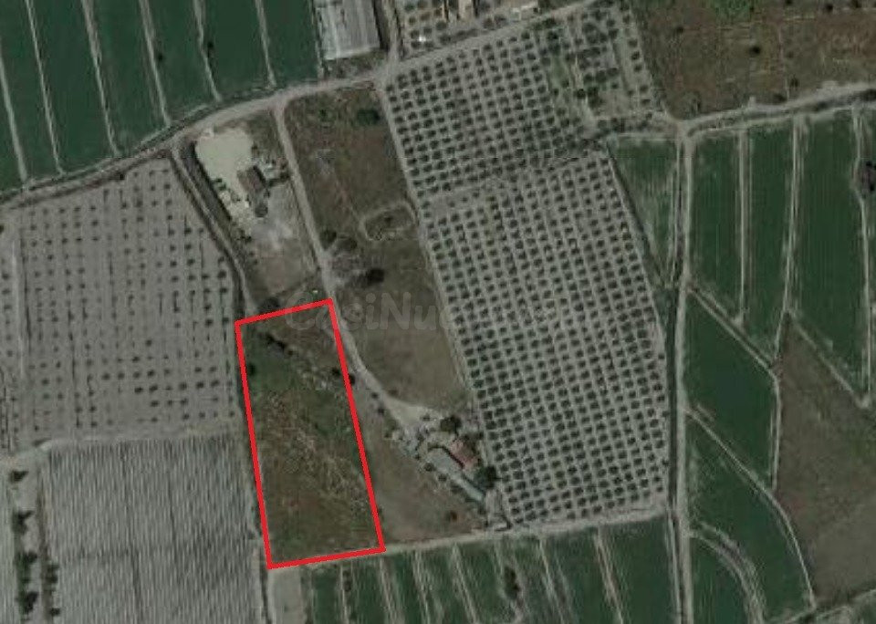 VENTA DE PARCELA EN EL ESPARRAGAL - foto 3