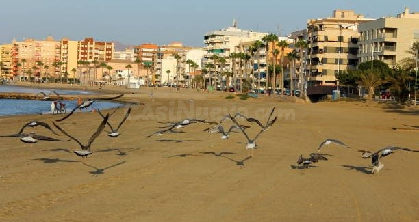VENTA SOLAR PARA EDIFICIO DE 6 PLANTAS - foto 3