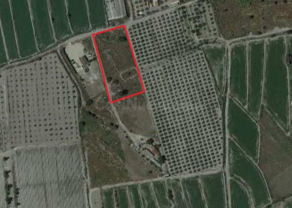 VENTA DE PARCELA EN EL ESPARRAGAL - foto 2