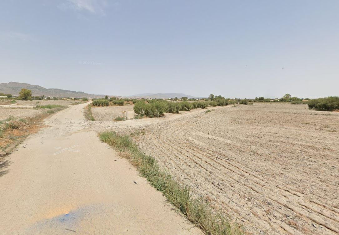 PARCELA DE REGADÍO PARA CULTIVO DE HORTALIZA Y FRUTÍCOLA.. - foto 2