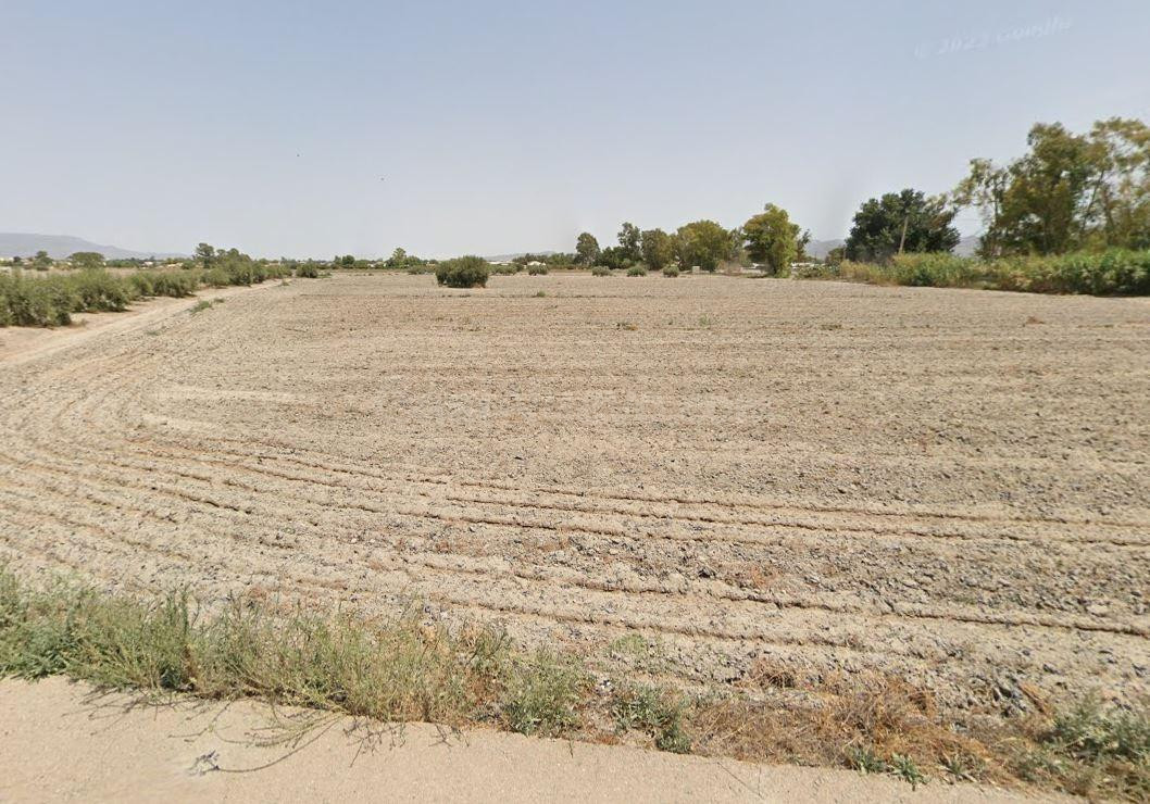 PARCELA DE REGADÍO PARA CULTIVO DE HORTALIZA Y FRUTÍCOLA.. - foto 3