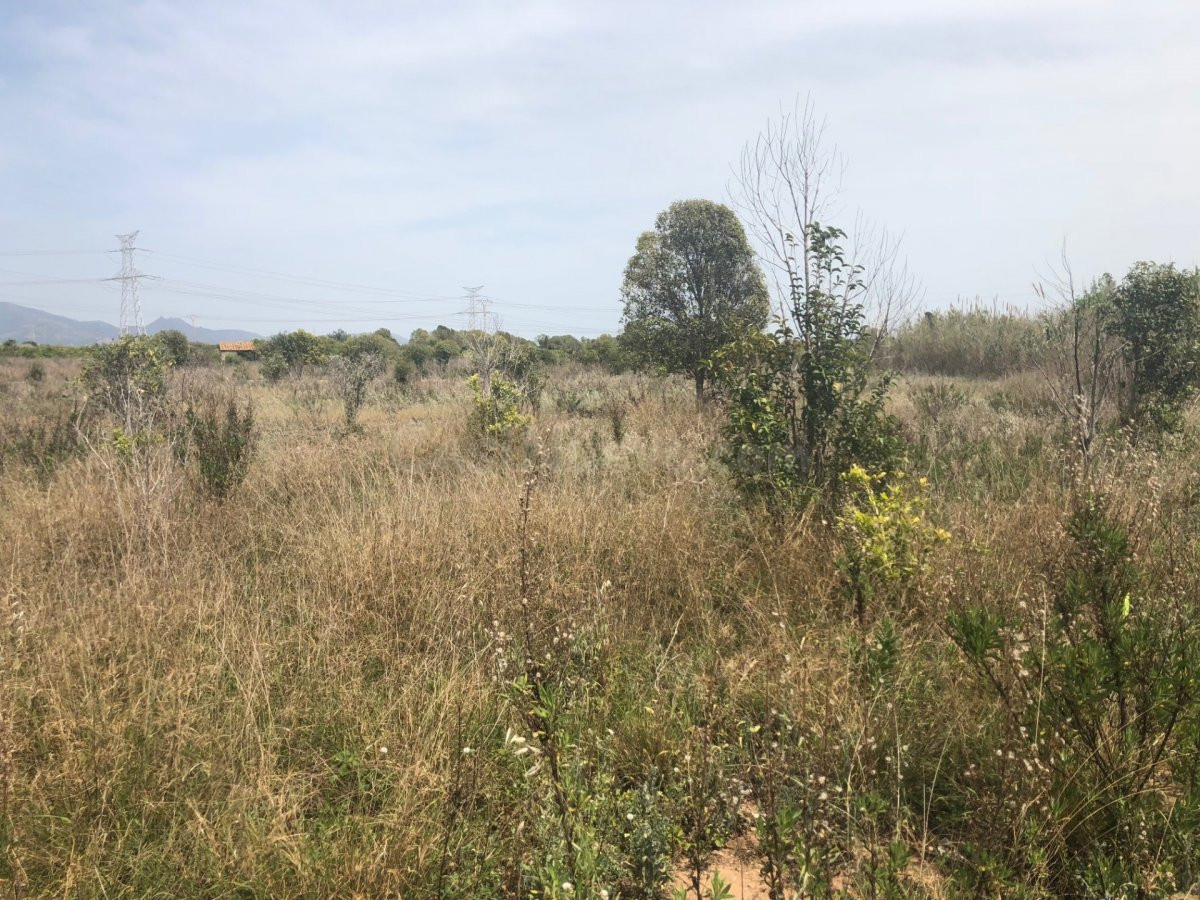 Terreno rural VENTA, suelo rustico, en Castellón Partida ALM